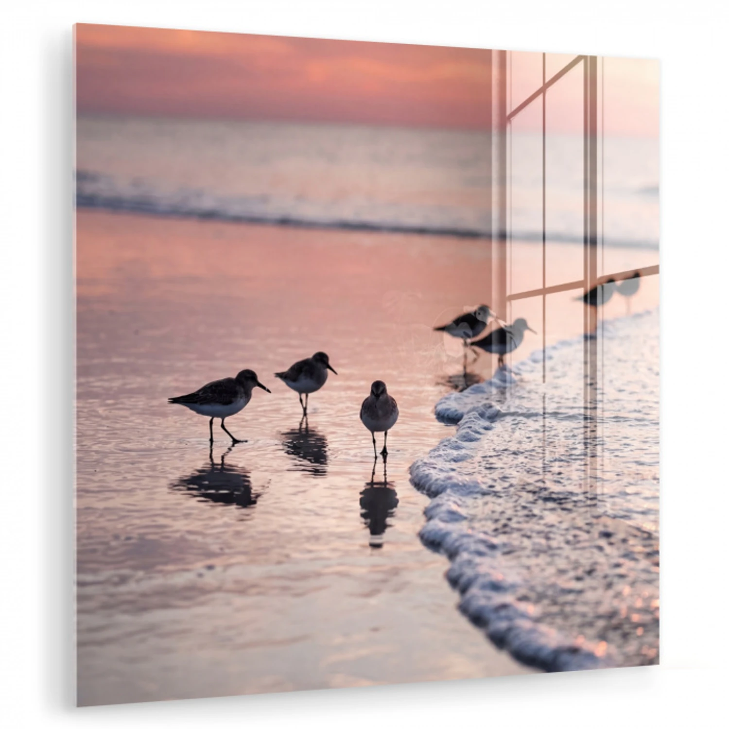 Meeuwen - Strand - Zee - Roze plexiglas 5mm klein -zzzproduct_nieuw