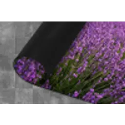 Lavendel - Veld - Natuur - Paars Keukenloper - keukenmat middel -closeup