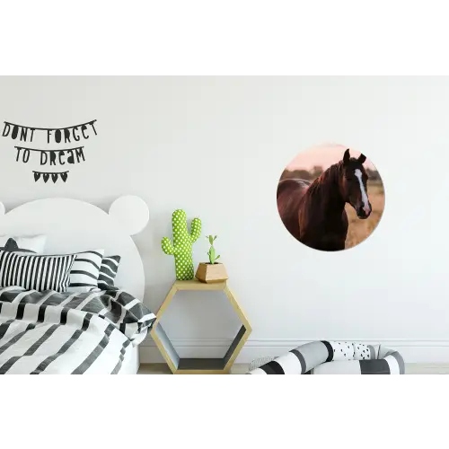 Paard - Zonsondergang - Bruin Wandcirkel aluminium klein -kinderkamer