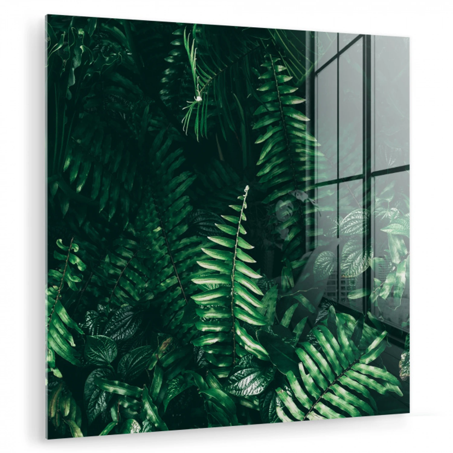 Bladeren - Jungle - Natuur - Tropisch - Planten plexiglas 5mm klein -zzzproduct_nieuw