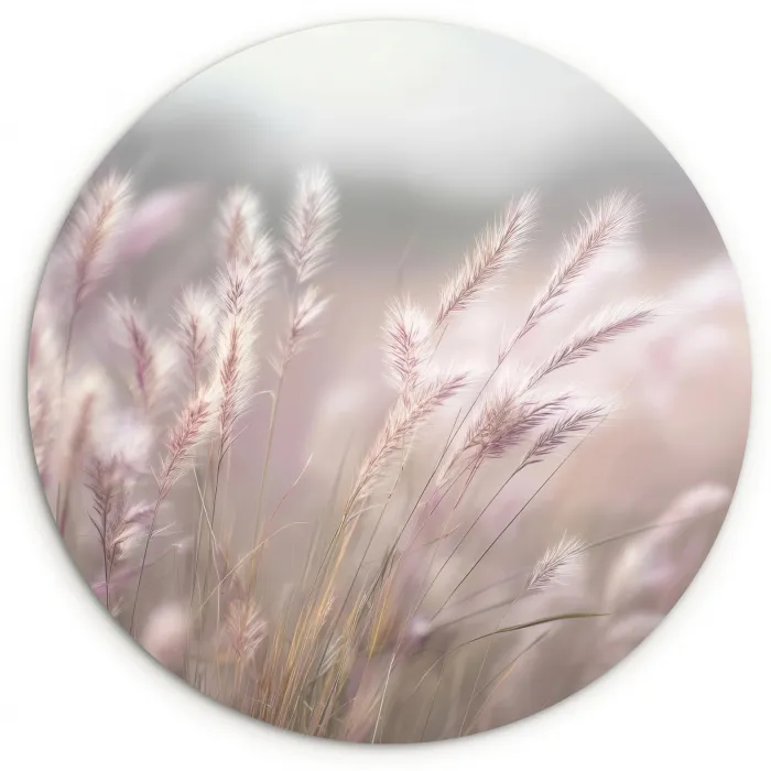 Graspluimen - Wind - Beige - Mistig Wandcirkel kunststof plaat 5mm dik klein -3d