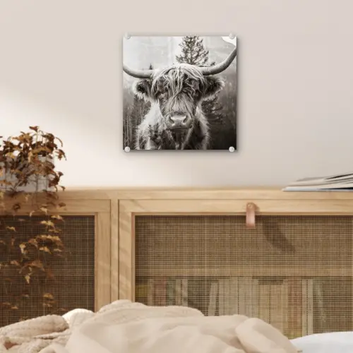 Schotse hooglander - Koe - Dieren - Zwart - Wit plexiglas 5mm klein -sfeer4