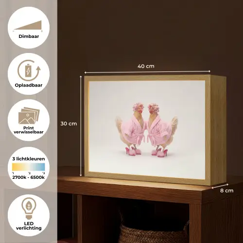 Kippen - Badjas - Krukspelden - Hakken Light Box met batterij (Wandlamp) middel -USP_websiteoverzichtNL