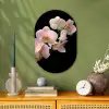 Orchidee - Bloemen - Roze - Stilleven - Flora Wandcirkel Ovaal Forex klein -sfeer2