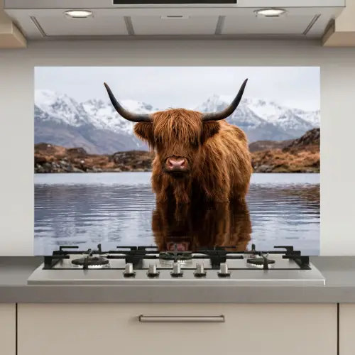 Schotse hooglander - Bruin - Water keuken achterwand spatscherm klein -3d_website