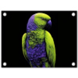 Papegaai - Veren - Opvallend - Groen tuinposter los doek klein -3d