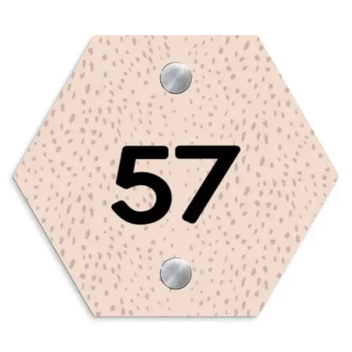 Lichtroze met stippen - Traditioneel Naambord Hexagon klein -3d