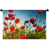 Klaprozen - Toscane - Zon - Rood - Blauw Wandkleed katoen klein -zz3d