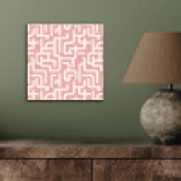 Doolhofpatroon - Roze - Wit - Abstract aluminium wit klein 46 -sfeer2