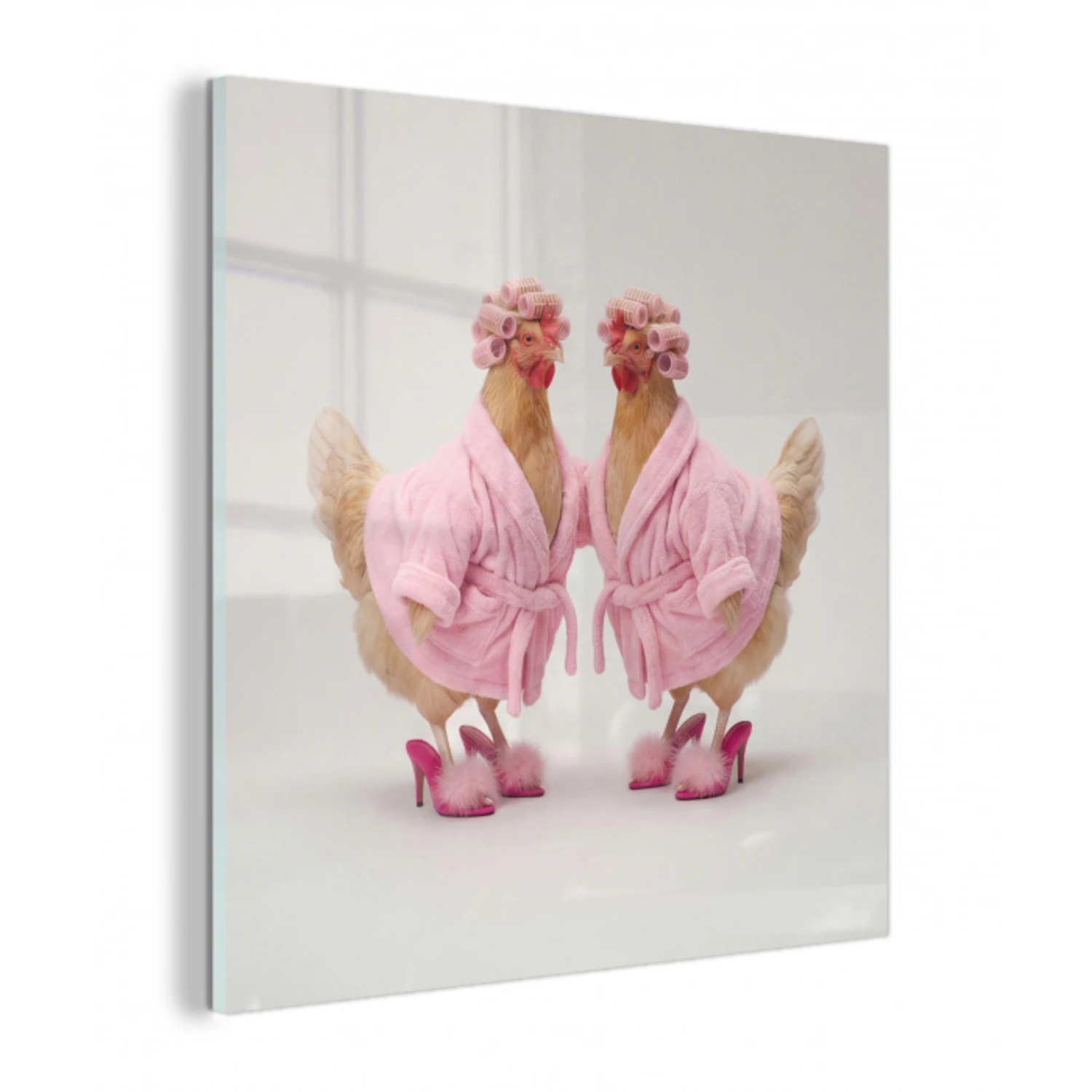 Kippen - Badjas - Krukspelden - Hakken plexiglas 5mm klein -z3d