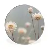 Strobloemen - Wit - Daglicht Wandcirkel aluminium klein -3d