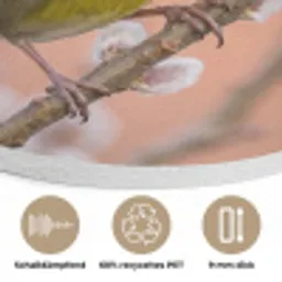 Groenling - Katjes - Lente - Natuur - Zacht Akoestische PET Vilt - Rond klein -closeup_DE