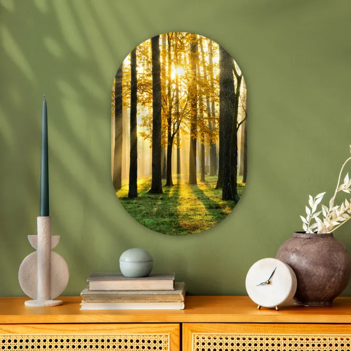 Bos - Zon - Bomen - Gras - Landschap  - Natuur Wandcirkel Ovaal Forex klein -sfeer2