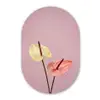 Bloemen - Anthuriums - Geel - Roze Wandcirkel Ovaal Forex klein -3d