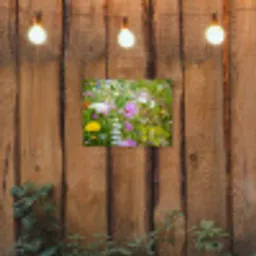Wilde bloemen in volle bloei tuinposter los doek klein -sfeer1