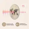 Wereldkaart - Goud - Zwart - Abstract Akoestische PET Vilt - Rond klein -USP_NL
