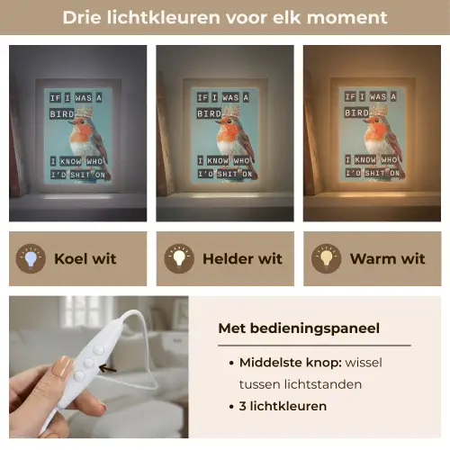 Roodborstje - Vogel - Blauw - Decoratie Light Box met kabel (Tafellamp) klein -USP_lichtkleurNL