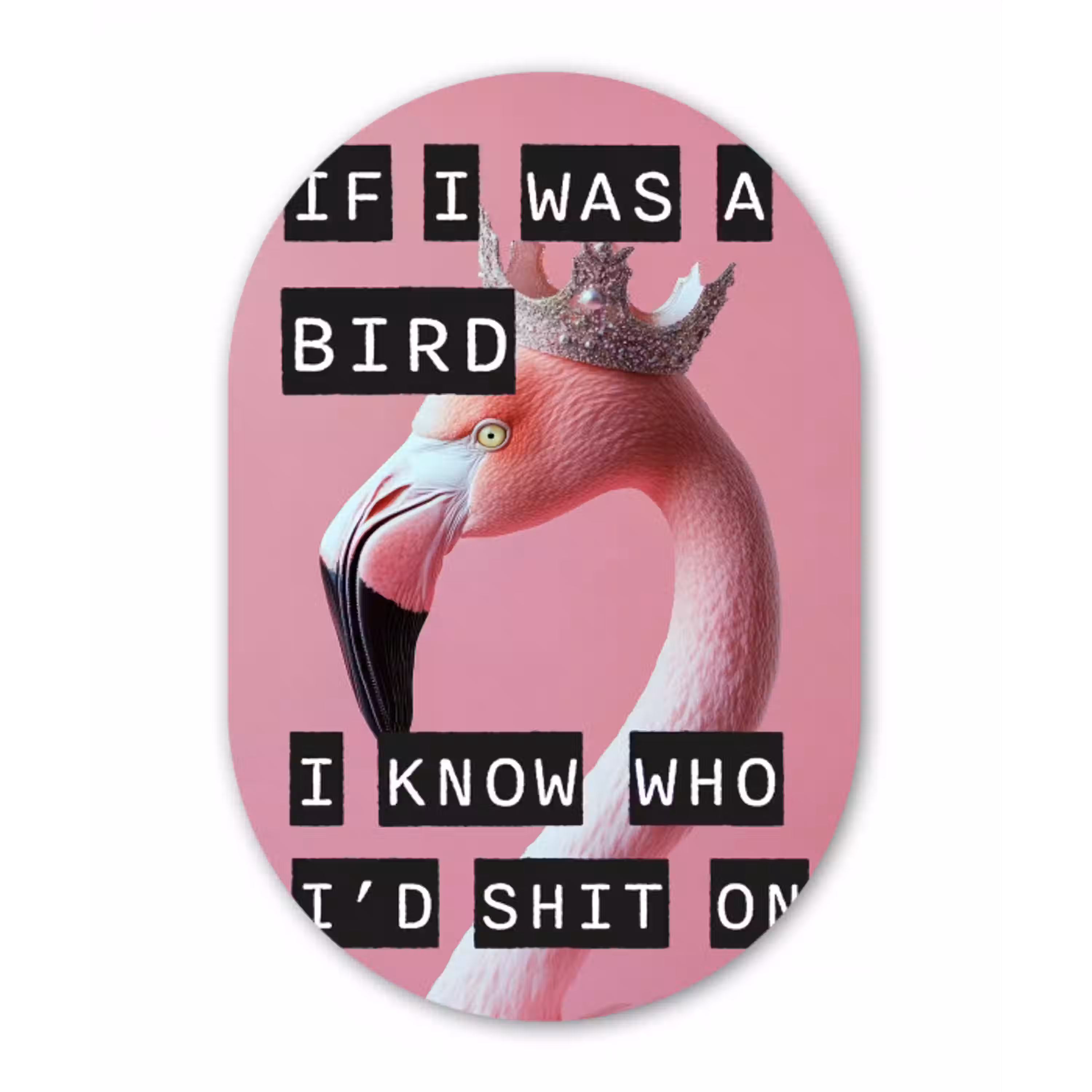 Flamingo - Roze - Vogel - Decoratie Wandcirkel Ovaal Glas middel -3d