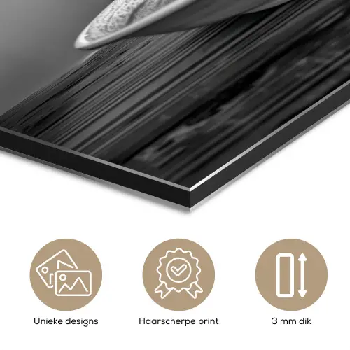 Schotse Hooglander - Spaghetti - Dieren - Zwart wit aluminium wit klein -closeup_NL