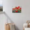 Klaproos - Bloemen - Rood - Paars - Weide tuinposter los doek klein -sfeer8
