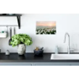 Tulpen - Landschap - Wit Muursticker klein -keuken