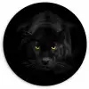 Panter - Dieren - Zwart - Ogen Wandcirkel kunststof plaat 5mm dik klein -3d
