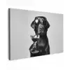 Hond - Zwart - Wijnglas - Zonnebril canvas 2cm klein -z3d
