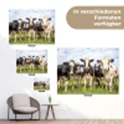 Nieuwsgierige koeien in de wei tuinposter los doek klein -Xsfeer9_DE