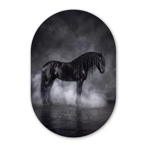 Paard - Magisch - Zwart Wandcirkel Ovaal Forex klein -3d