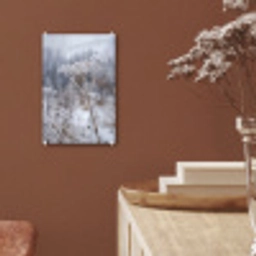 Schermbloem - Rijp - Kristallen - Winter - Delicaat plexiglas 5mm klein -sfeer5