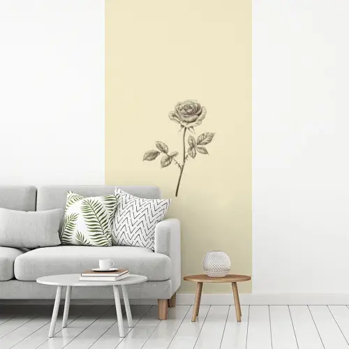 Illustratie - Zwart - Roos fotobehang vinyl groot -woonkamer