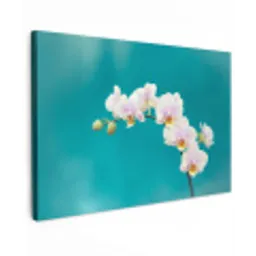 Orchidee - Bloemen - Plant - Wit - Paars canvas 2cm klein -z3d