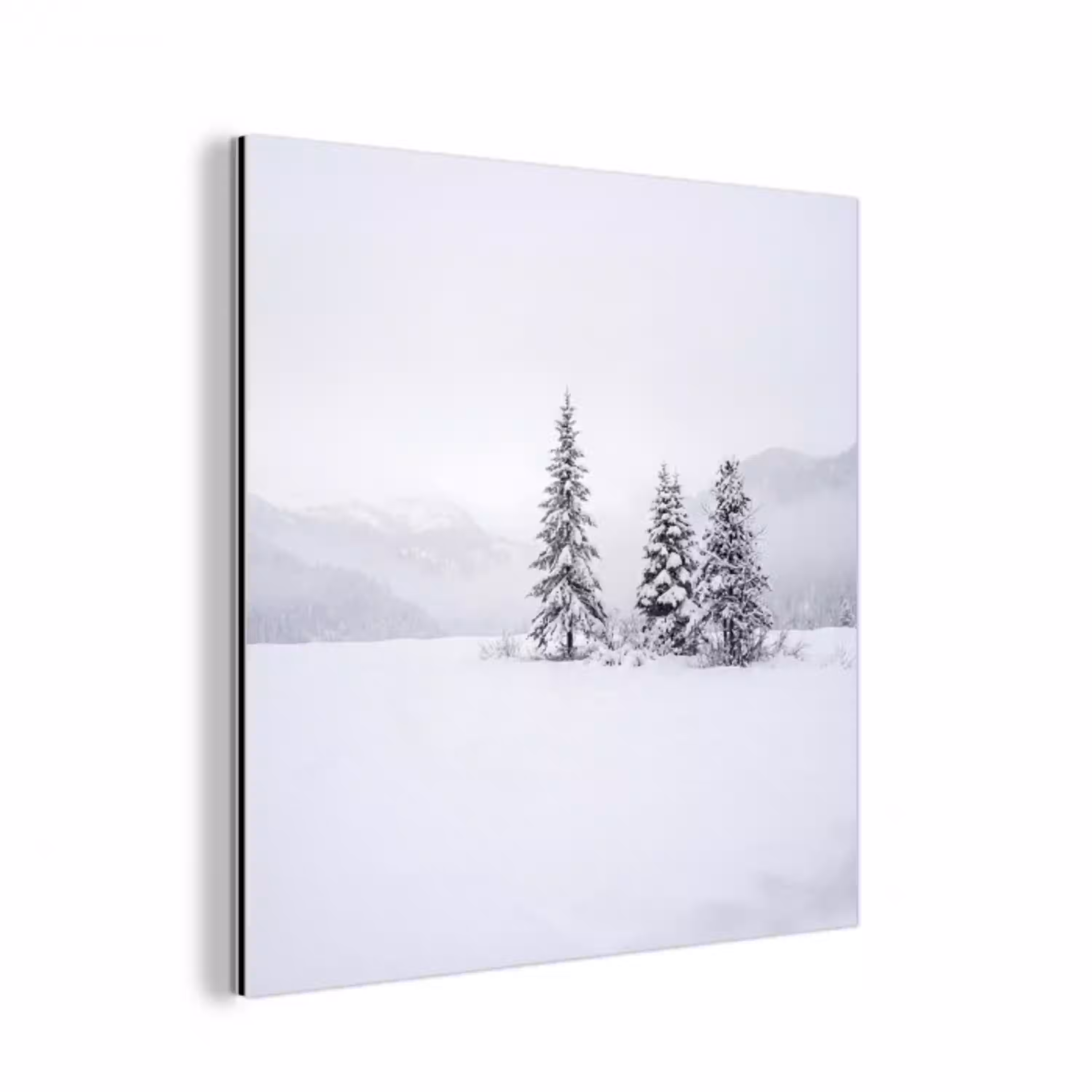 Fijnsparren - Sneeuw - Winter - Landschap - Stilte aluminium wit klein -3d