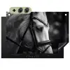 Paard - Schimmel - Portret Inductie beschemer met haakjes klein -3d