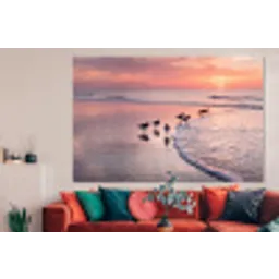 Meeuwen - Strand - Zee - Roze forex 5mm xxl -woonkamer