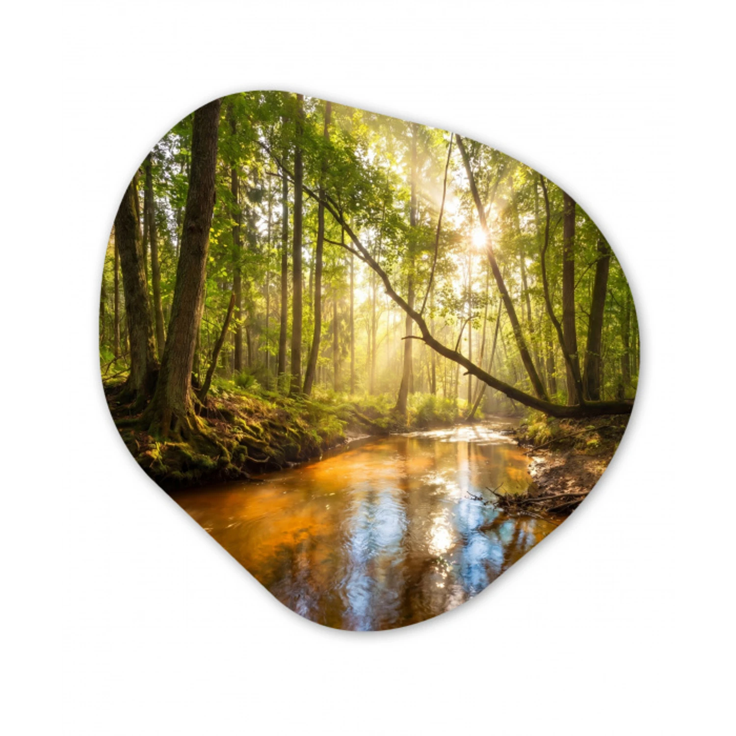 Bos - Beek - Zonlicht - Natuur - Groen Wandcirkel Organisch Aluminium middel -3d