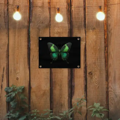 Vlinder - Groen - Opvallend tuinposter los doek klein -sfeer1