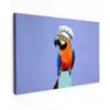 Papegaai - Koksmuts - Vogel - Leuk Tuinposter op houten frame 2 cm dik klein -3d