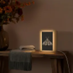 Mot - Bladachtig - Grijs Light Box met kabel (Tafellamp) klein -sfeer4