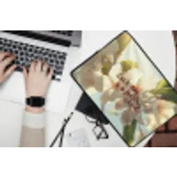 Bloesems - Zonlicht - Quote - Wit laptophoes neopreen klein -bureau