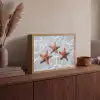 Zeesterren - Water - Helder Light Box met batterij (Wandlamp) middel -sfeer2