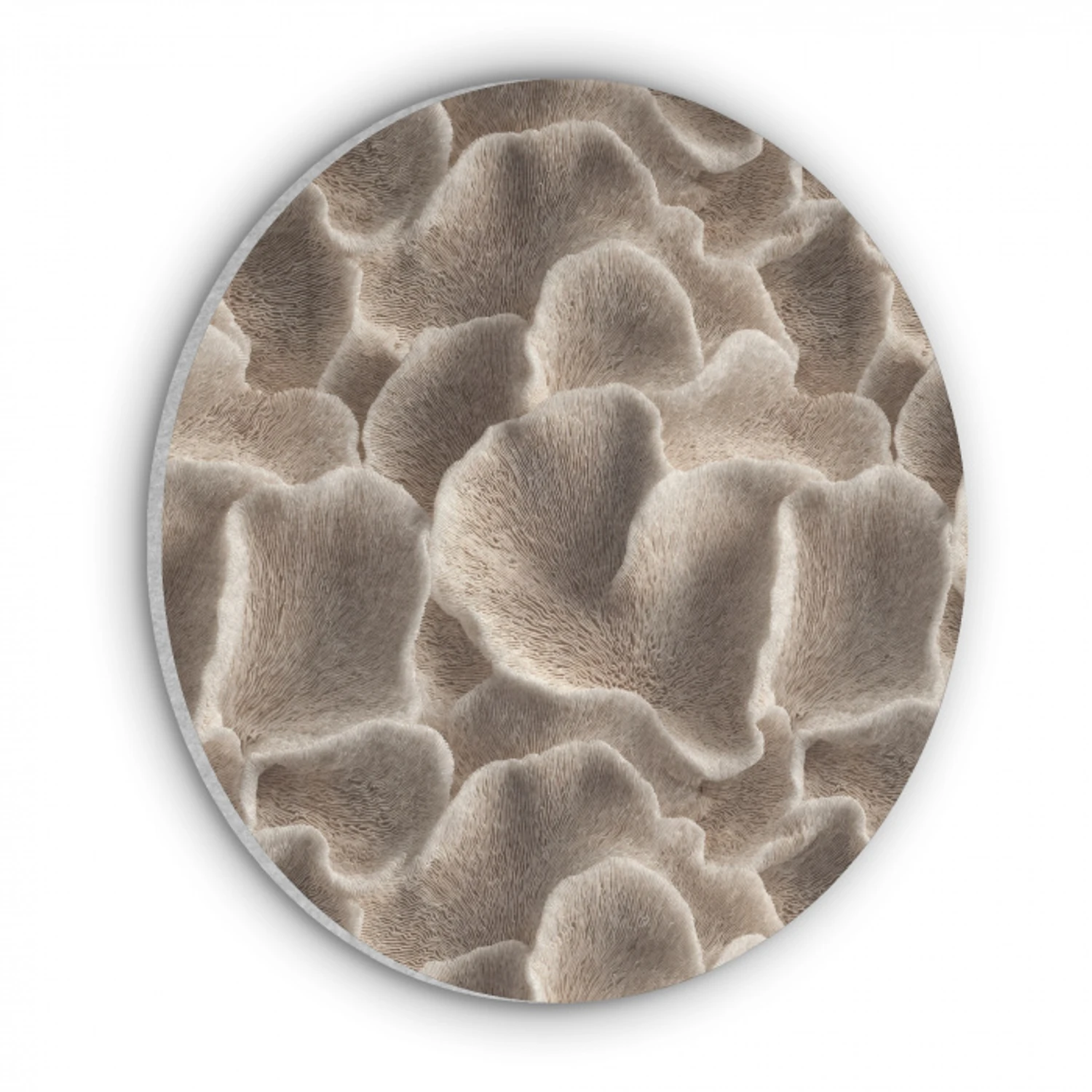 Waaiervorm - Beige - Vezel textuur Akoestische PET Vilt - Rond klein 838 -3d