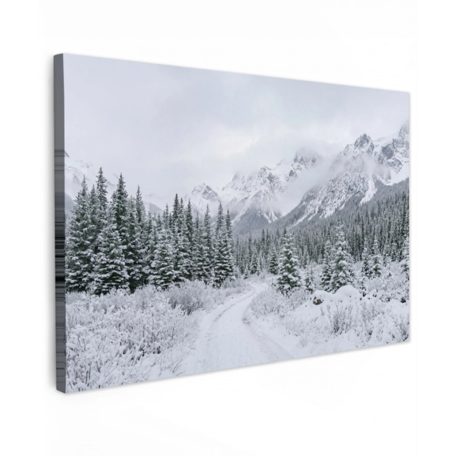 Weg - Bergen - Sneeuw - Naaldbos - Avontuurlijk canvas 2cm klein -z3d