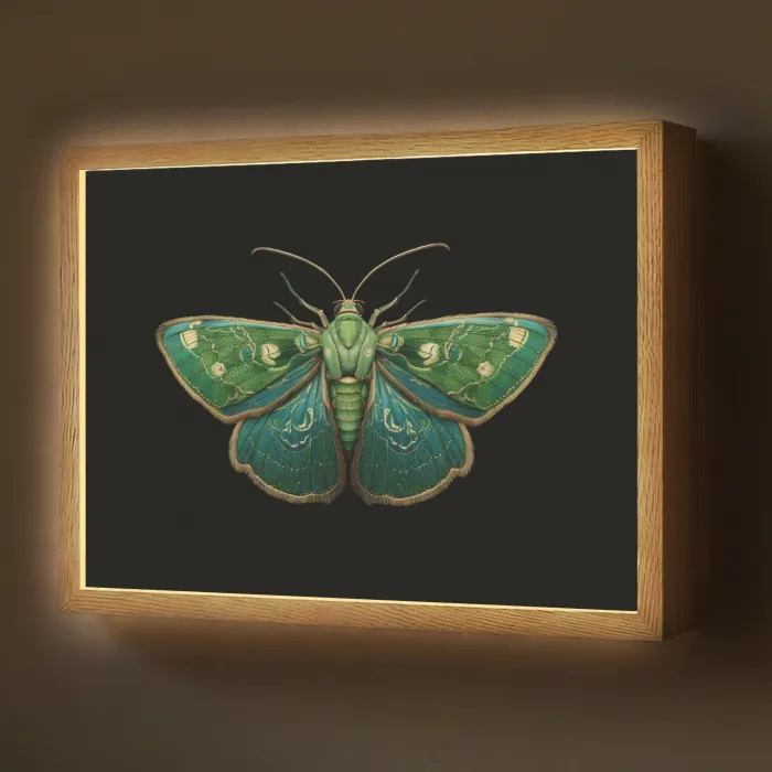 Mot - Levendig - Groen Light Box met batterij (Wandlamp) middel -z3d_website