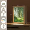 Natuur - Bomen - Bos - Groen - Zon - Gras - Planten Light Box met kabel (Tafellamp) klein -USP_NL