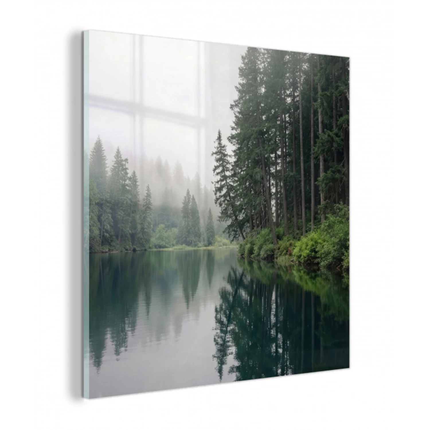 Bergen - Meer - Bos plexiglas 5mm klein -z3d