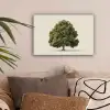 Eikenboom - Groen - Lichte achtergrond canvas 2cm klein -sfeer1