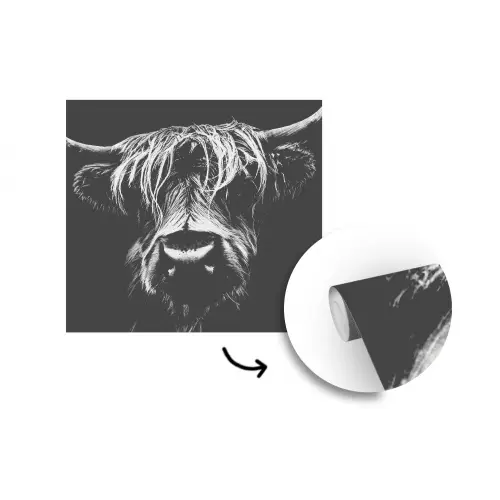 Schotse Hooglander - Horens - Zwart - Wit - Koe - Wild - Dieren fotobehang vinyl groot -3d