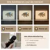 Vis - Tropisch - Strepen - Vinnen Light Box met batterij (Wandlamp) middel -USP_lichtkleurNL