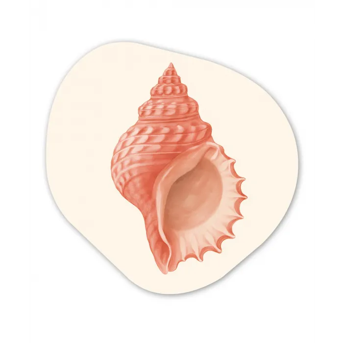 Schelp - Roze - Structuur Wandcirkel Organisch Forex 3mm klein -3d